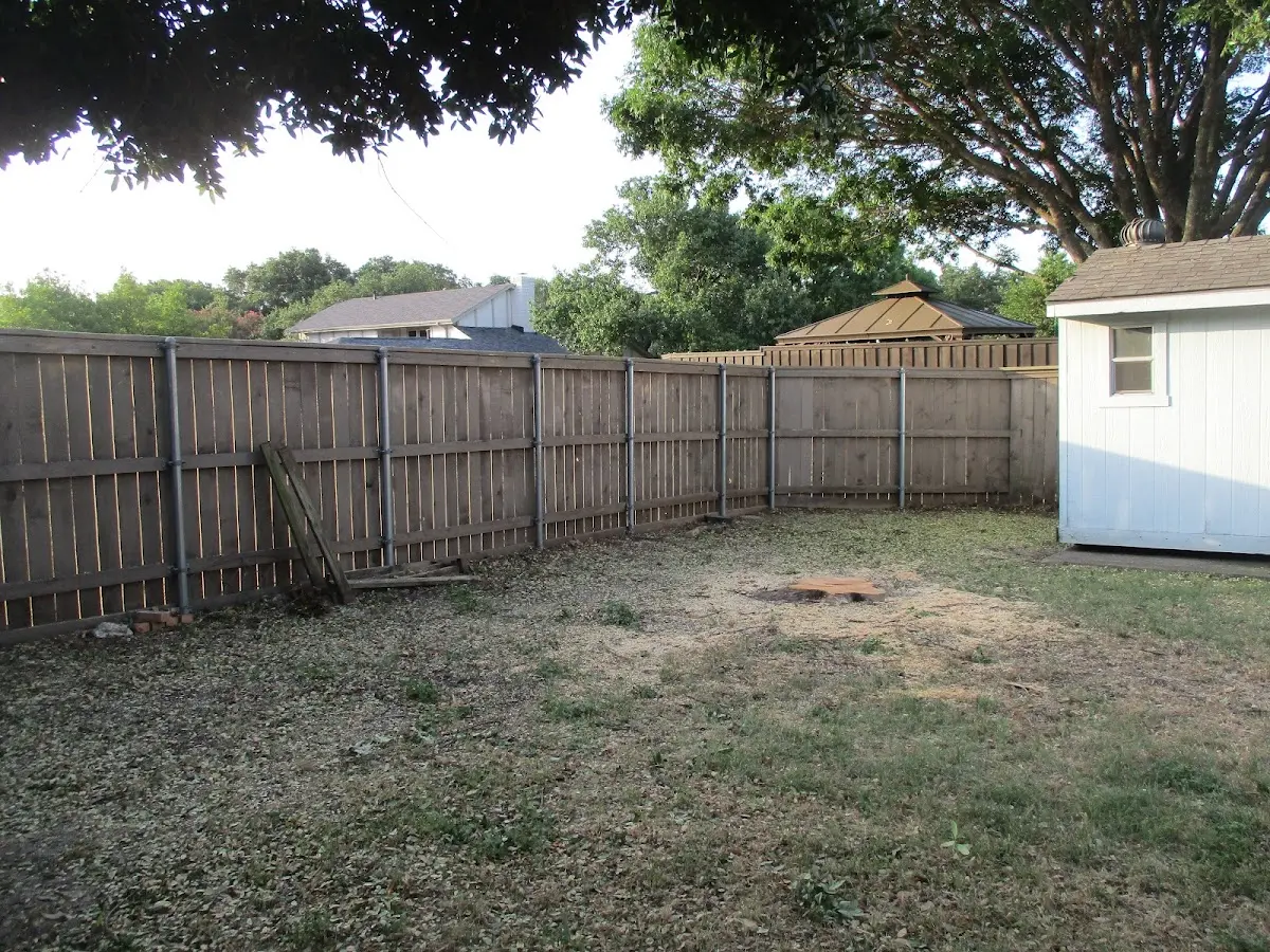 Cleared yard after professional tree removal in Brasstown